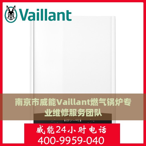 南京市威能Vaillant燃气锅炉专业维修服务团队