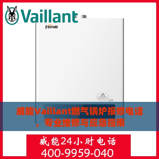 威能Vaillant燃气锅炉报修电话，专业维修与应急指南