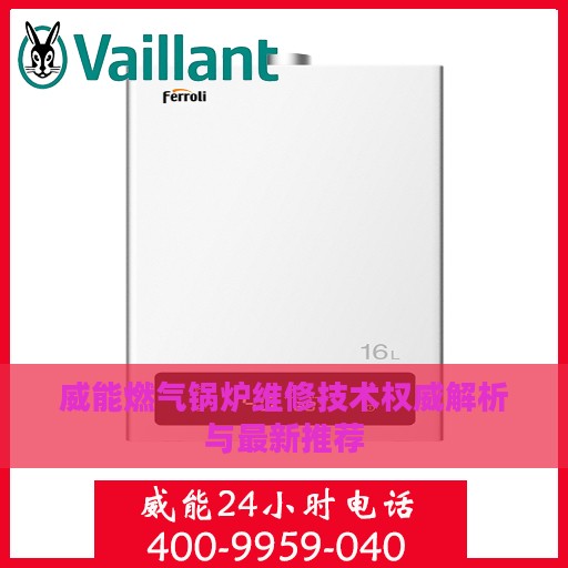 威能燃气锅炉维修技术权威解析与最新推荐
