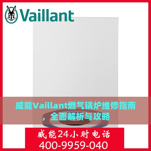威能Vaillant燃气锅炉维修指南，全面解析与攻略