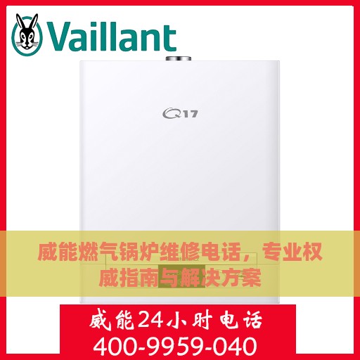威能燃气锅炉维修电话，专业权威指南与解决方案
