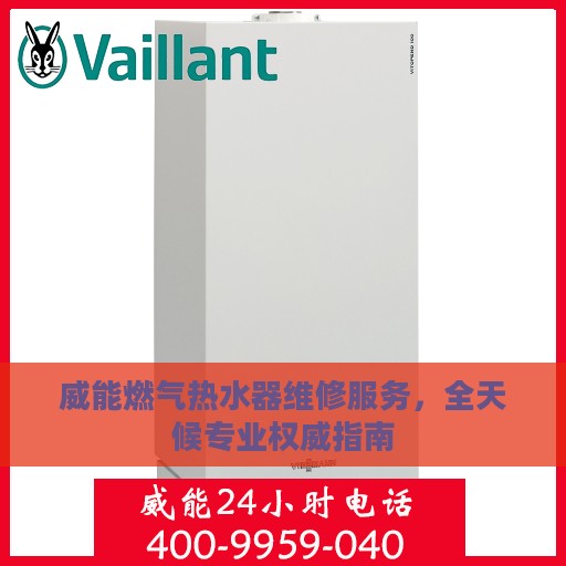 威能燃气热水器维修服务，全天候专业权威指南
