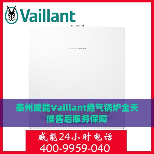 泰州威能Vaillant燃气锅炉全天候售后服务保障
