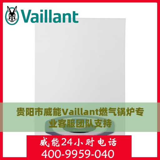 贵阳市威能Vaillant燃气锅炉专业客服团队支持