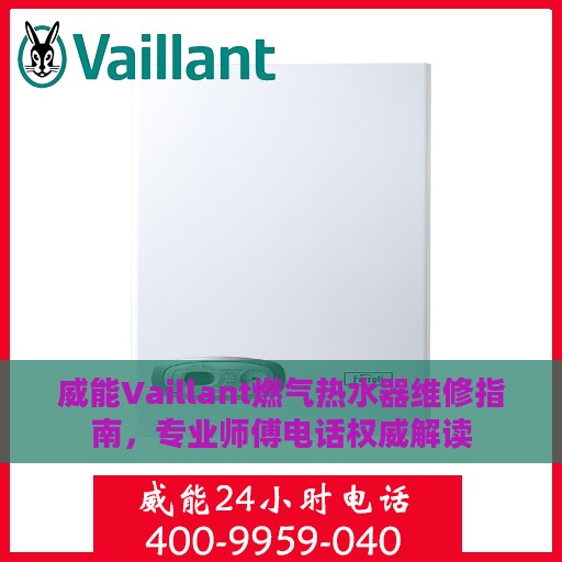 威能Vaillant燃气热水器维修指南，专业师傅电话权威解读