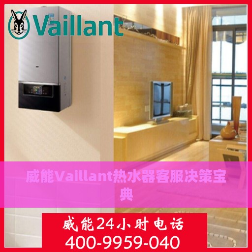 威能Vaillant热水器客服决策宝典