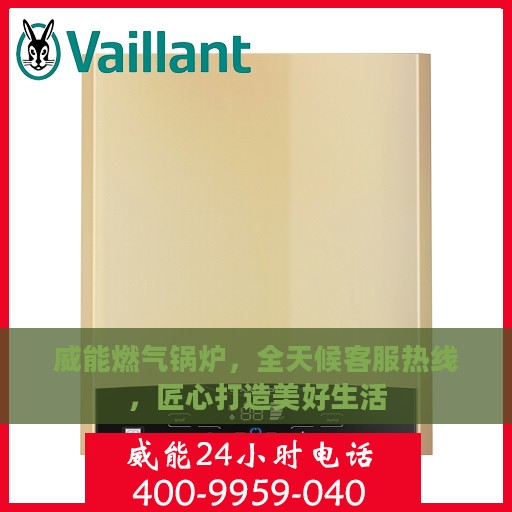 威能燃气锅炉，全天候客服热线，匠心打造美好生活