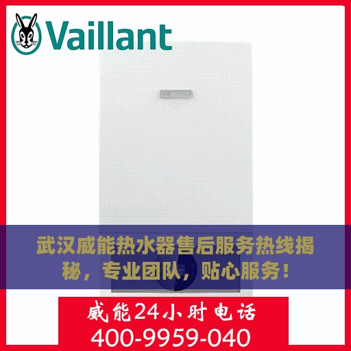 武汉威能热水器售后服务热线揭秘，专业团队，贴心服务！