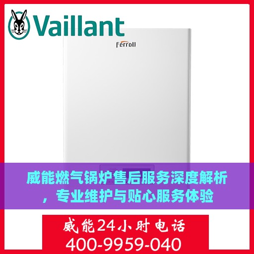 威能燃气锅炉售后服务深度解析，专业维护与贴心服务体验