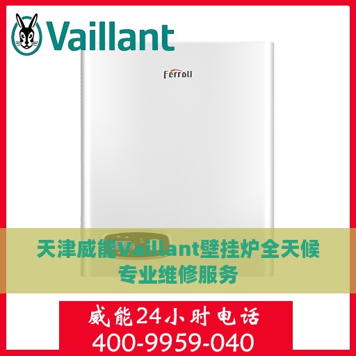 天津威能Vaillant壁挂炉全天候专业维修服务
