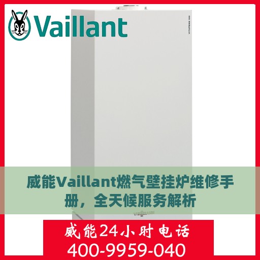 威能Vaillant燃气壁挂炉维修手册，全天候服务解析