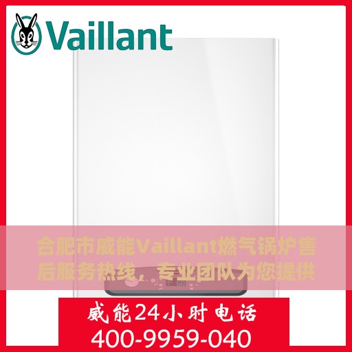 合肥市威能Vaillant燃气锅炉售后服务热线，专业团队为您提供全方位服务支持
