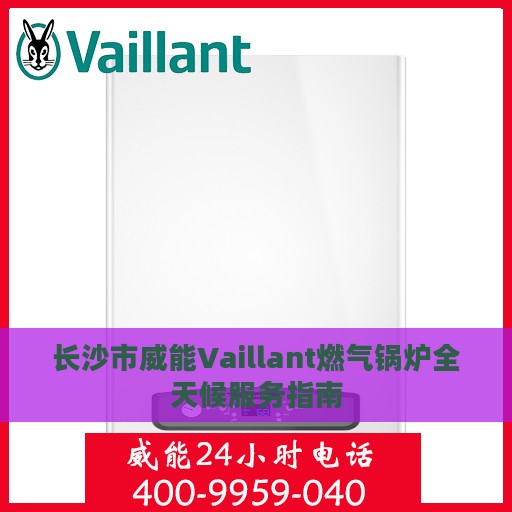 长沙市威能Vaillant燃气锅炉全天候服务指南