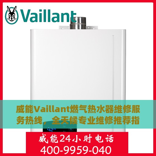 威能Vaillant燃气热水器维修服务热线，全天候专业维修推荐指南