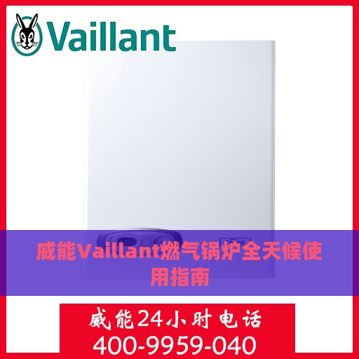 威能Vaillant燃气锅炉全天候使用指南