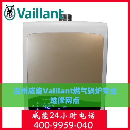 温州威能Vaillant燃气锅炉专业维修网点