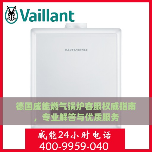 德国威能燃气锅炉客服权威指南，专业解答与优质服务