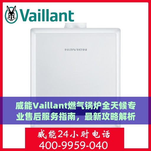 威能Vaillant燃气锅炉全天候专业售后服务指南，最新攻略解析