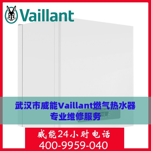 武汉市威能Vaillant燃气热水器专业维修服务