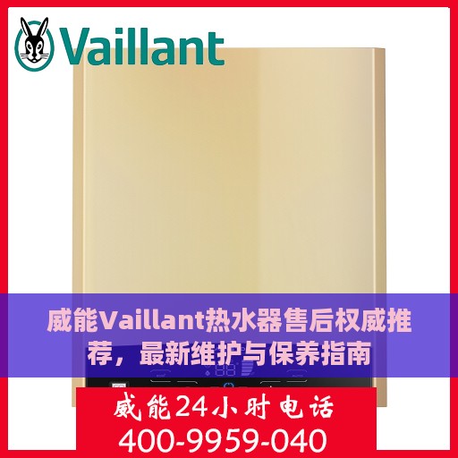 威能Vaillant热水器售后权威推荐，最新维护与保养指南