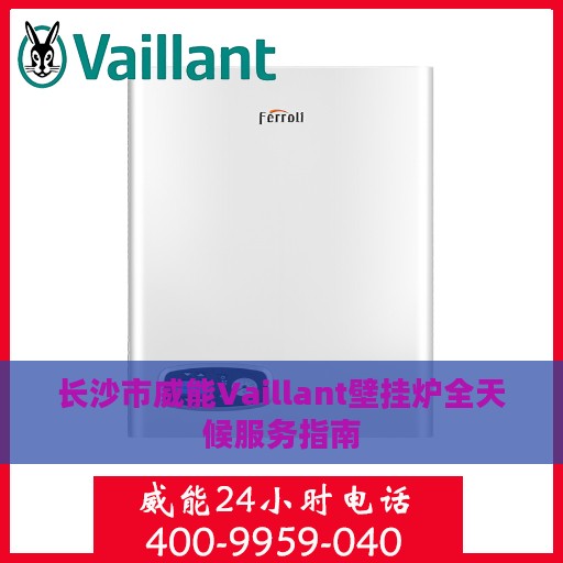 长沙市威能Vaillant壁挂炉全天候服务指南