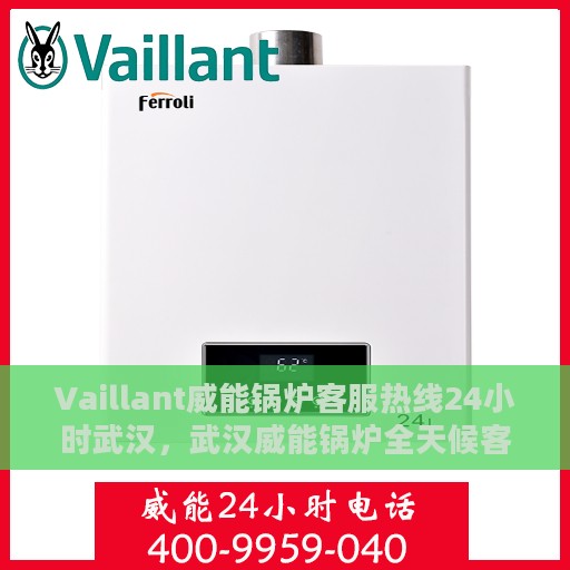 Vaillant威能锅炉客服热线24小时武汉，武汉威能锅炉全天候客服热线支持