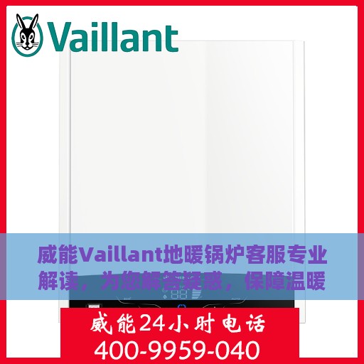 威能Vaillant地暖锅炉客服专业解读，为您解答疑惑，保障温暖家居体验