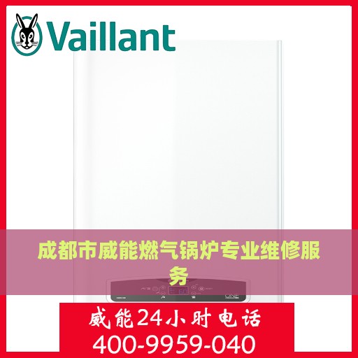 成都市威能燃气锅炉专业维修服务