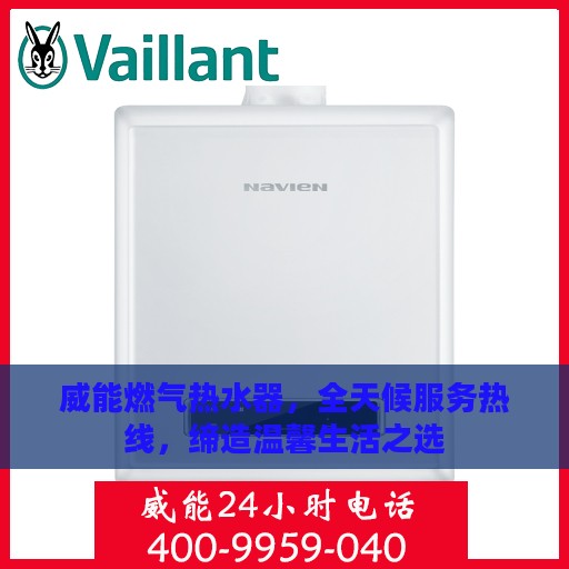 威能燃气热水器，全天候服务热线，缔造温馨生活之选