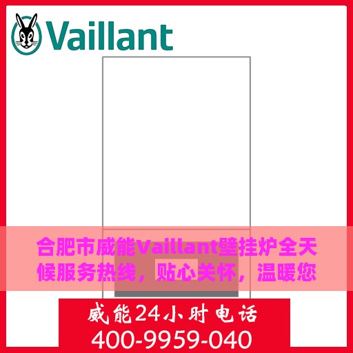 合肥市威能Vaillant壁挂炉全天候服务热线，贴心关怀，温暖您的每一刻