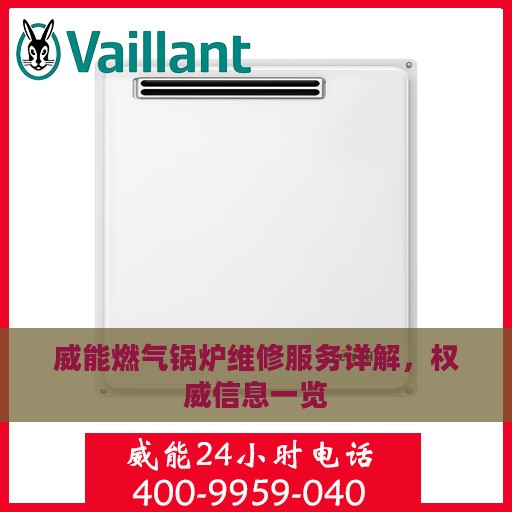 威能燃气锅炉维修服务详解，权威信息一览