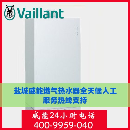 盐城威能燃气热水器全天候人工服务热线支持