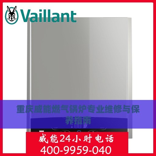 重庆威能燃气锅炉专业维修与保养指南