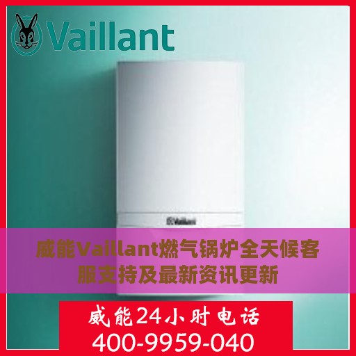 威能Vaillant燃气锅炉全天候客服支持及最新资讯更新