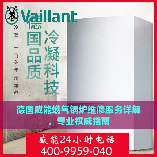 德国威能燃气锅炉维修服务详解，专业权威指南