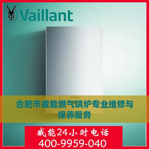 合肥市威能燃气锅炉专业维修与保养服务