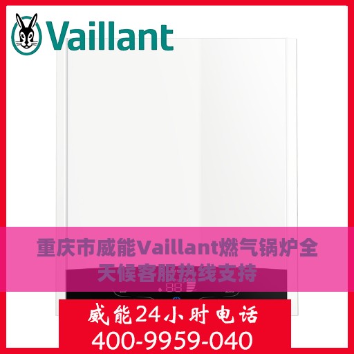 重庆市威能Vaillant燃气锅炉全天候客服热线支持