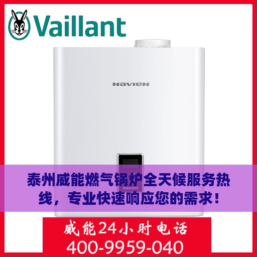 泰州威能燃气锅炉全天候服务热线，专业快速响应您的需求！