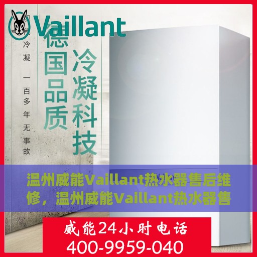 温州威能Vaillant热水器售后维修，温州威能Vaillant热水器售后维修专业服务解析