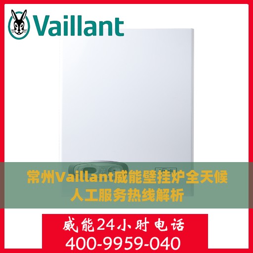 常州Vaillant威能壁挂炉全天候人工服务热线解析