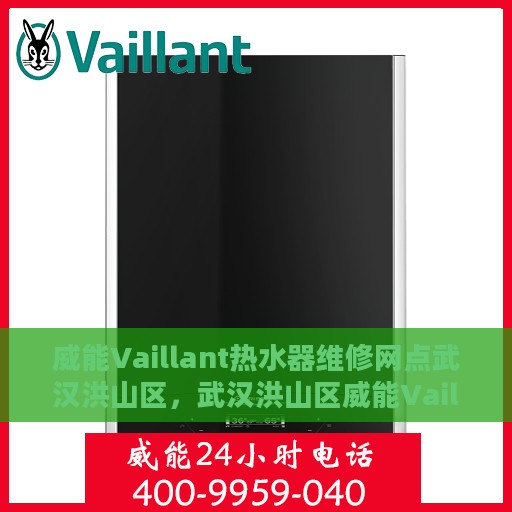 威能Vaillant热水器维修网点武汉洪山区，武汉洪山区威能Vaillant热水器专业维修网点