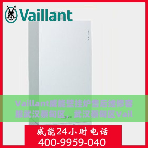 Vaillant威能壁挂炉售后维修客服武汉蔡甸区，武汉蔡甸区Vaillant威能壁挂炉专业售后维修客服团队