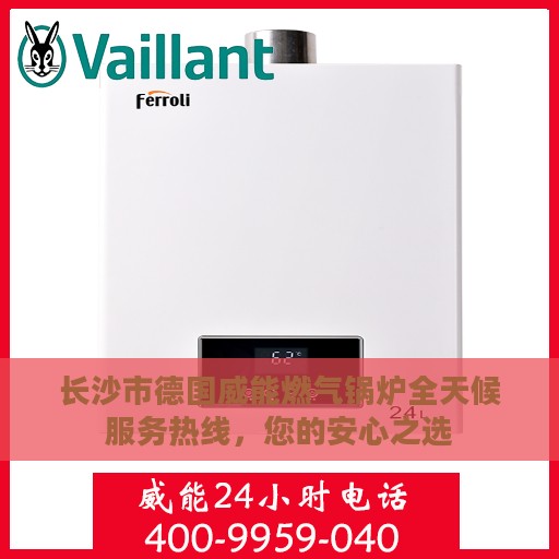 长沙市德国威能燃气锅炉全天候服务热线，您的安心之选
