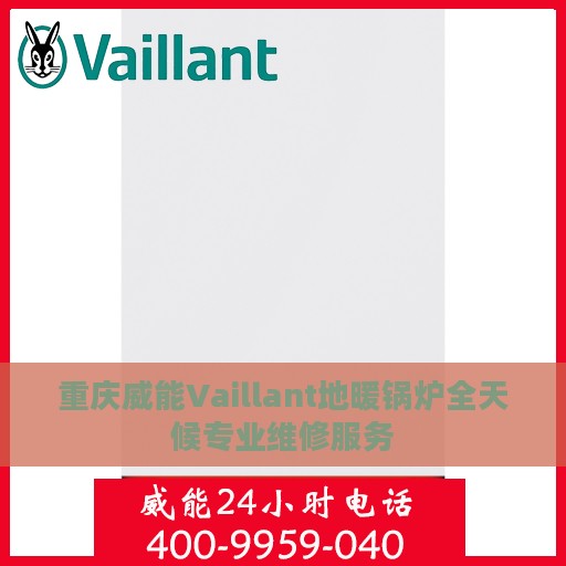 重庆威能Vaillant地暖锅炉全天候专业维修服务