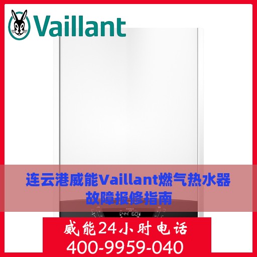 连云港威能Vaillant燃气热水器故障报修指南