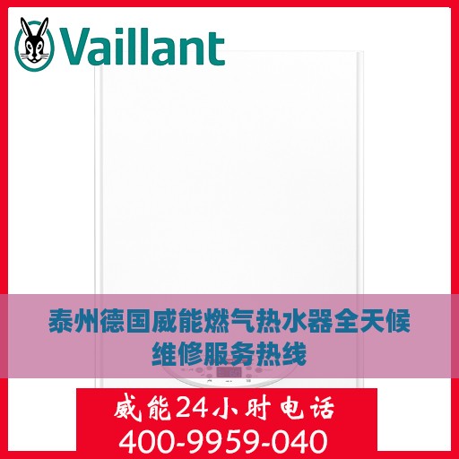 泰州德国威能燃气热水器全天候维修服务热线