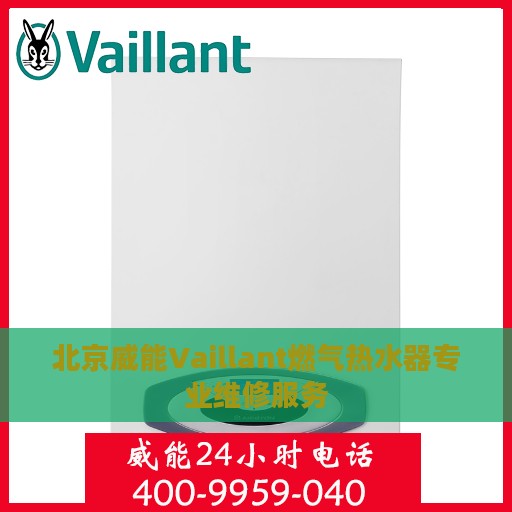 北京威能Vaillant燃气热水器专业维修服务