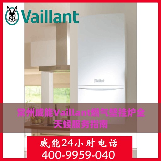 常州威能Vaillant燃气壁挂炉全天候服务指南