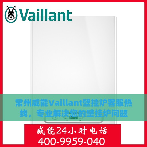 常州威能Vaillant壁挂炉客服热线，专业解决您的壁挂炉问题