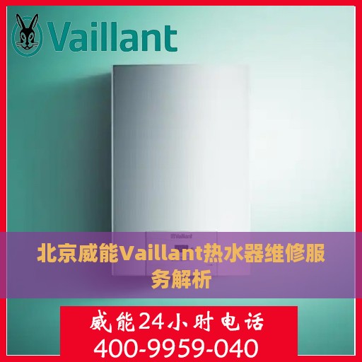 北京威能Vaillant热水器维修服务解析